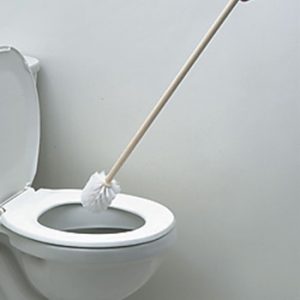 Extended Toilet Brush