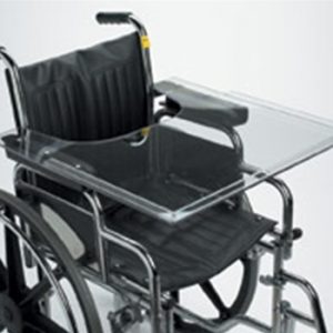 Lexan Lap Tray