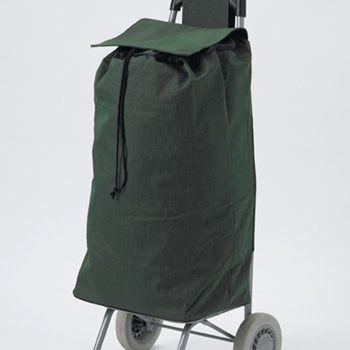 Rolling Shopping Cart
