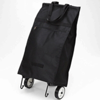 Light weight shopping cart