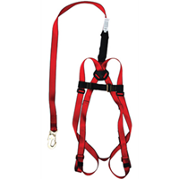 Aeriel Fall Arrest System 