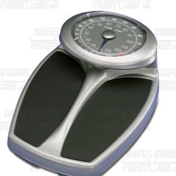 Scale with Large Analog 