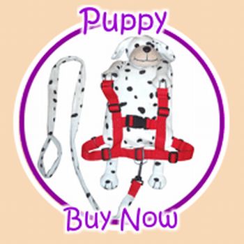 My First Friendly Harness-toddler back pack harness