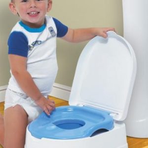 Summer Infant All in One Potty Seat Step Stool